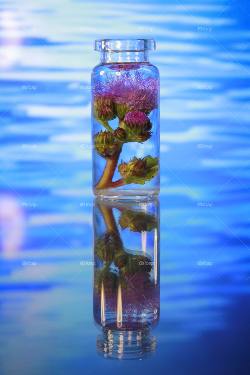 Reflection of flower bottle
