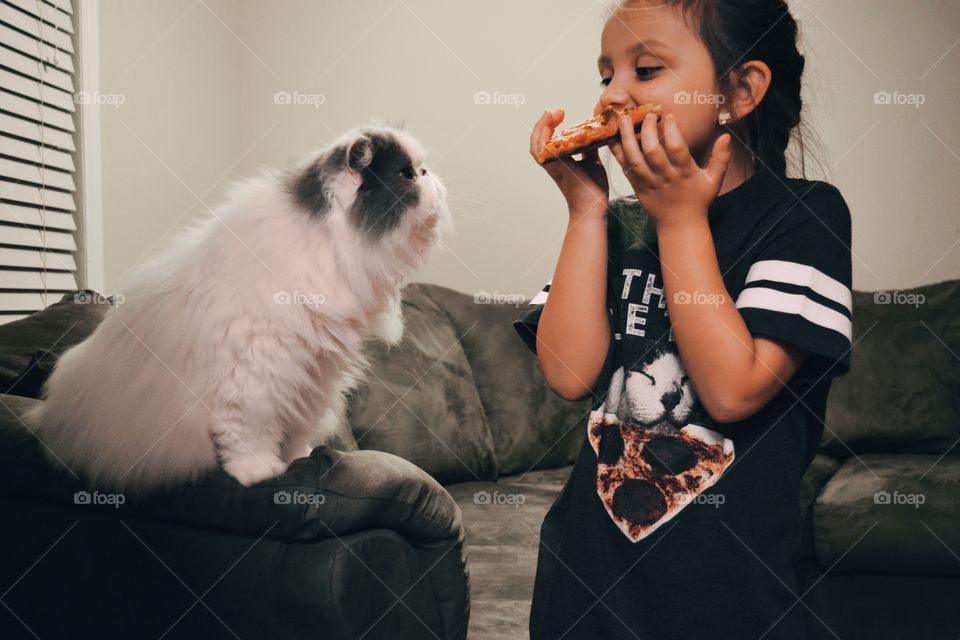 cats pizza