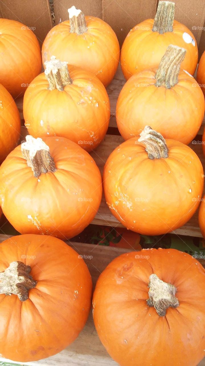 Pumpkins