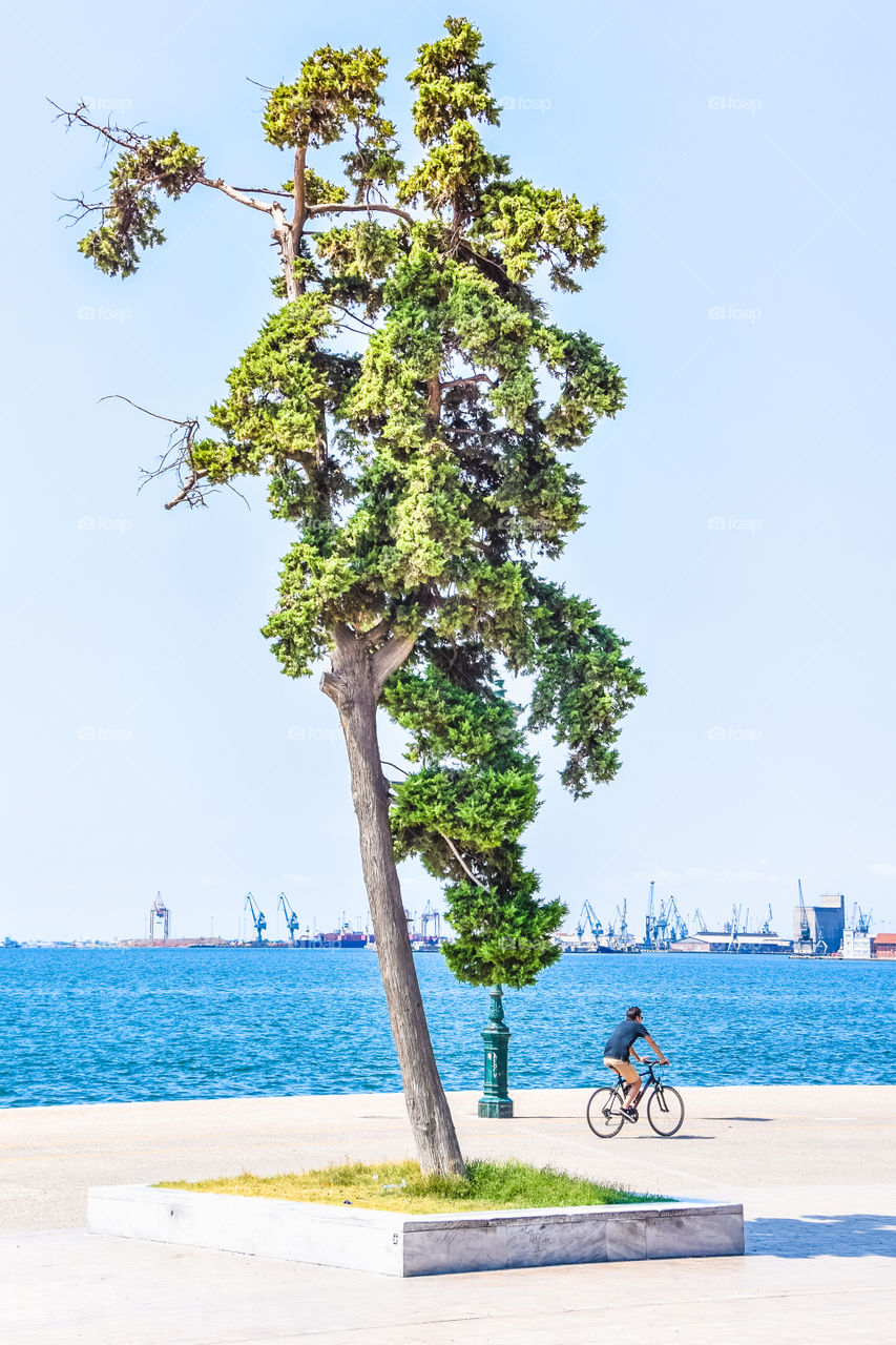 Boy Riding His Bike At The Seafront
