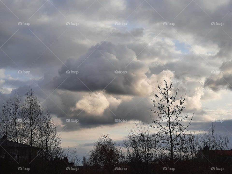 landscape  in winter  at sunset