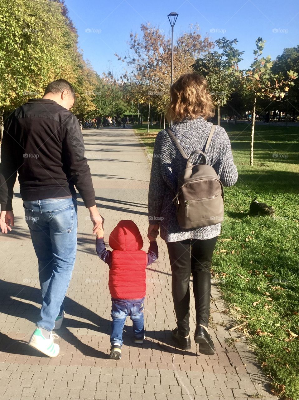 Backside view of young family walking in a park in a sunny day