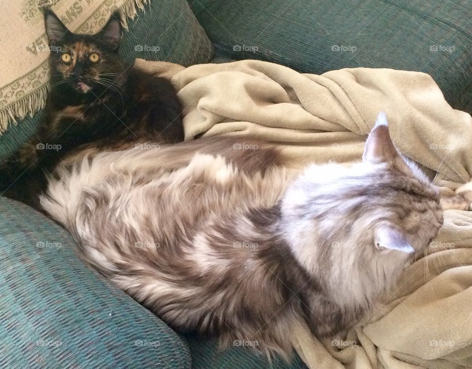 MalloyBoy and Artesia 