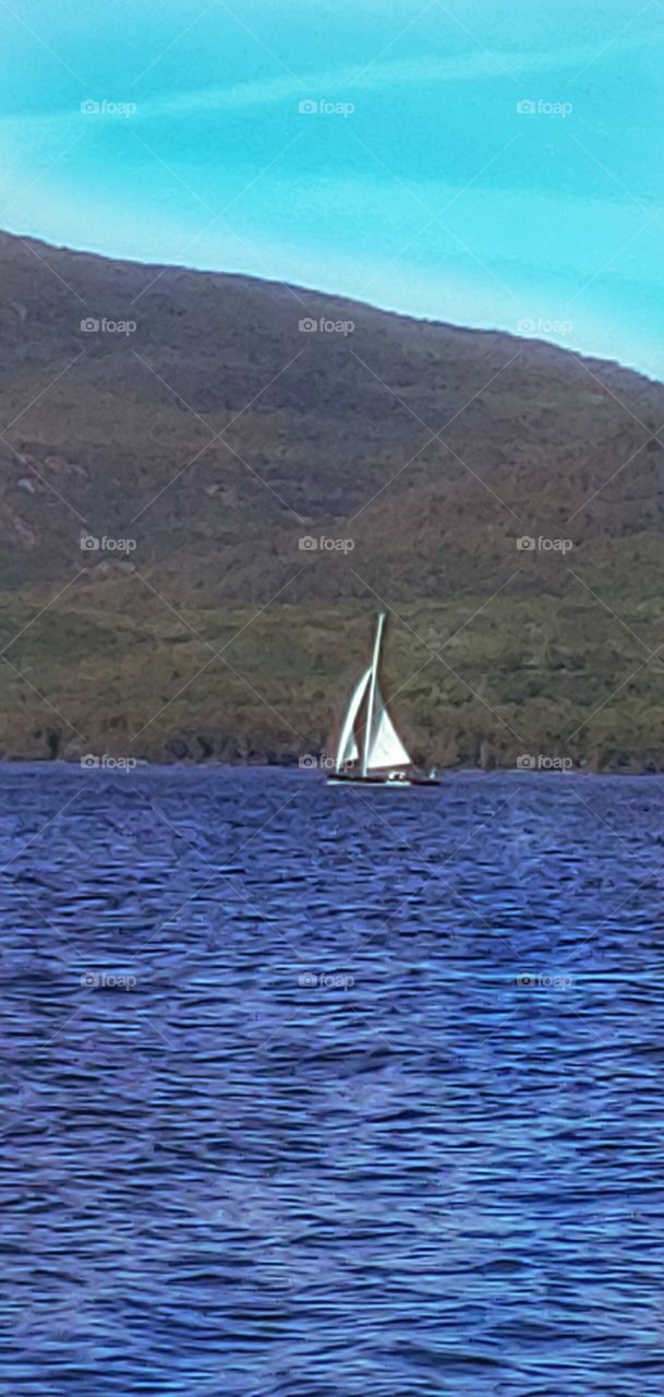 Sailing on a Sunny Day!