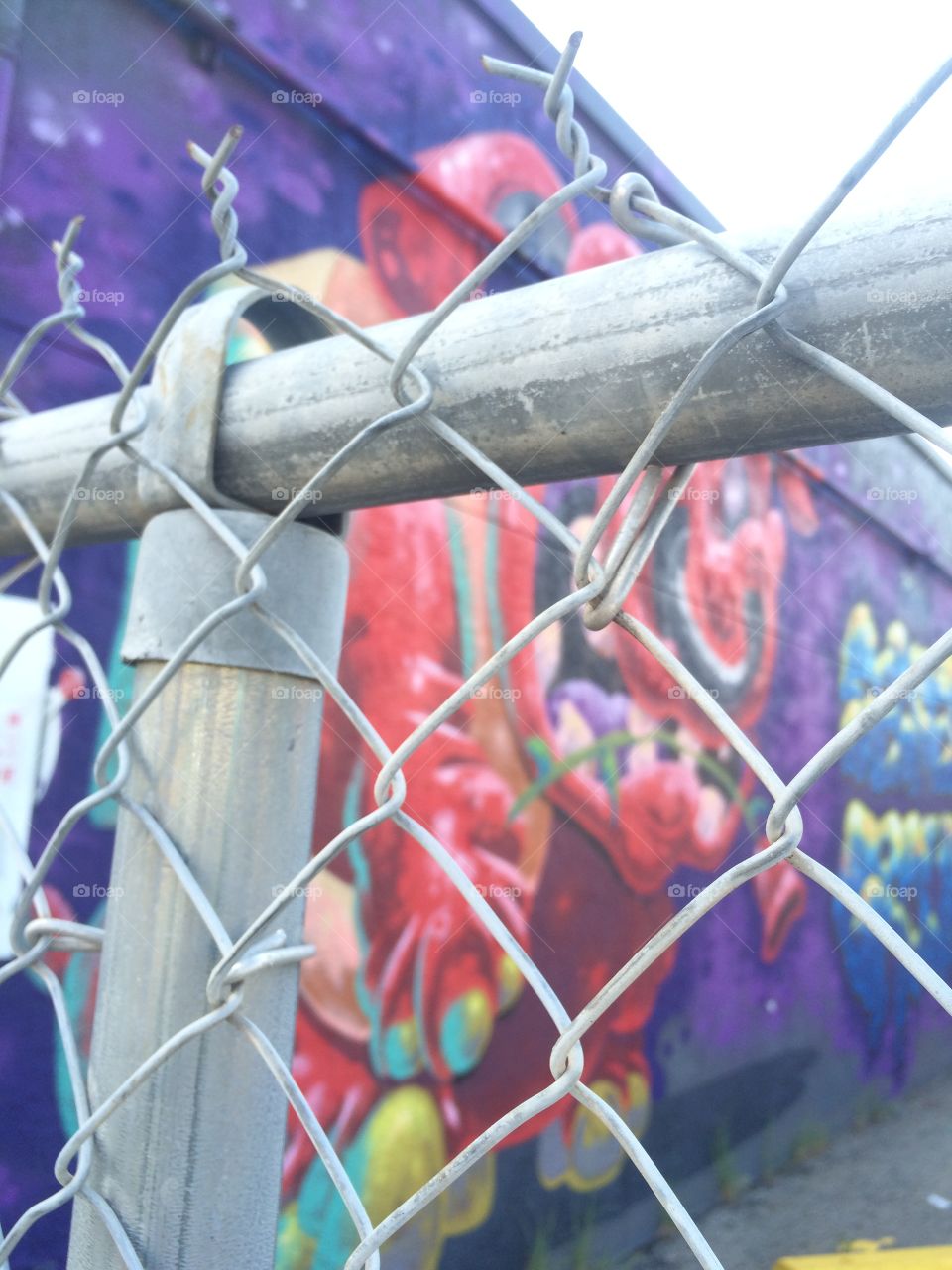 Graffiti behind fence 