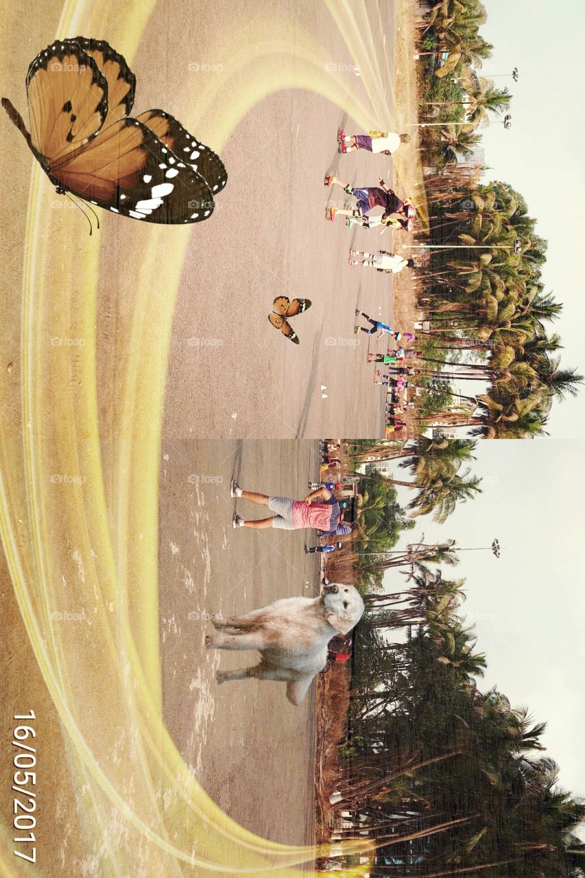 Kids playing, People's​, Tree, playground, skating, butterfly, dog, sky, building