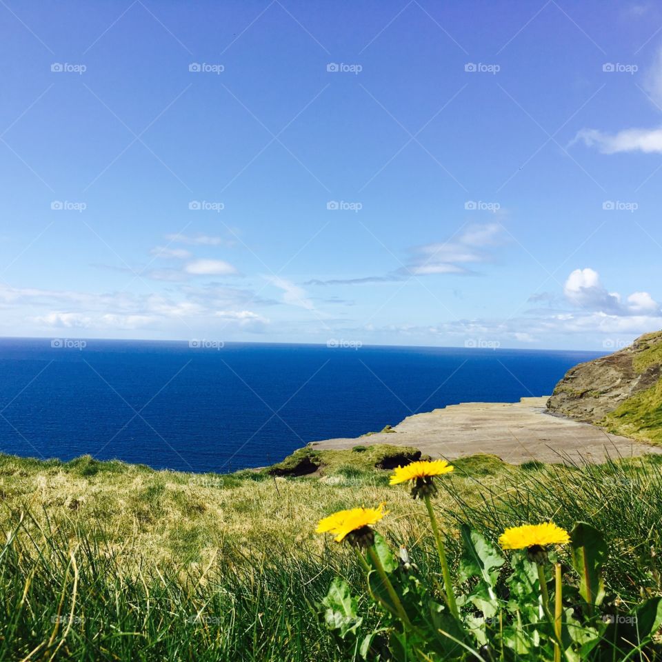 Cliffs of Moher Ireland