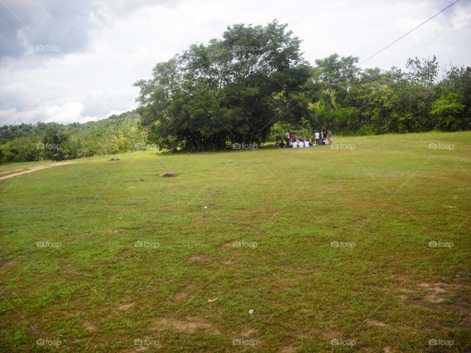 Under a tree