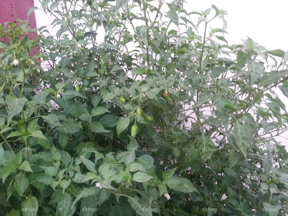 Please make me happy, I am poor, I need your help with support