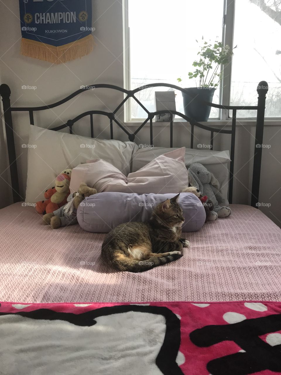 Freshly cleaned bedding is his favorite!