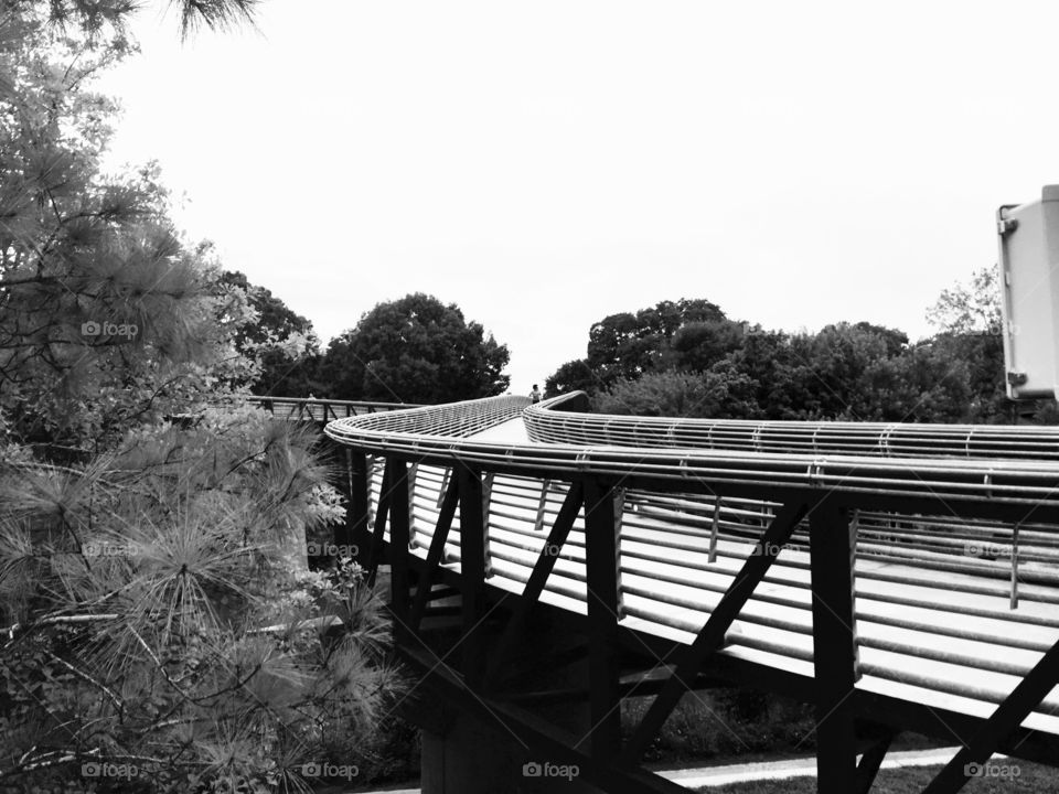 Bridge by the Bayou