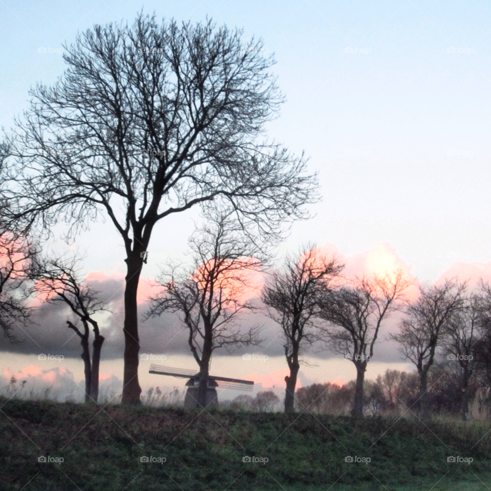 sky sun trees cloud by Nietje70