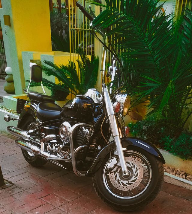 Harley Davidson