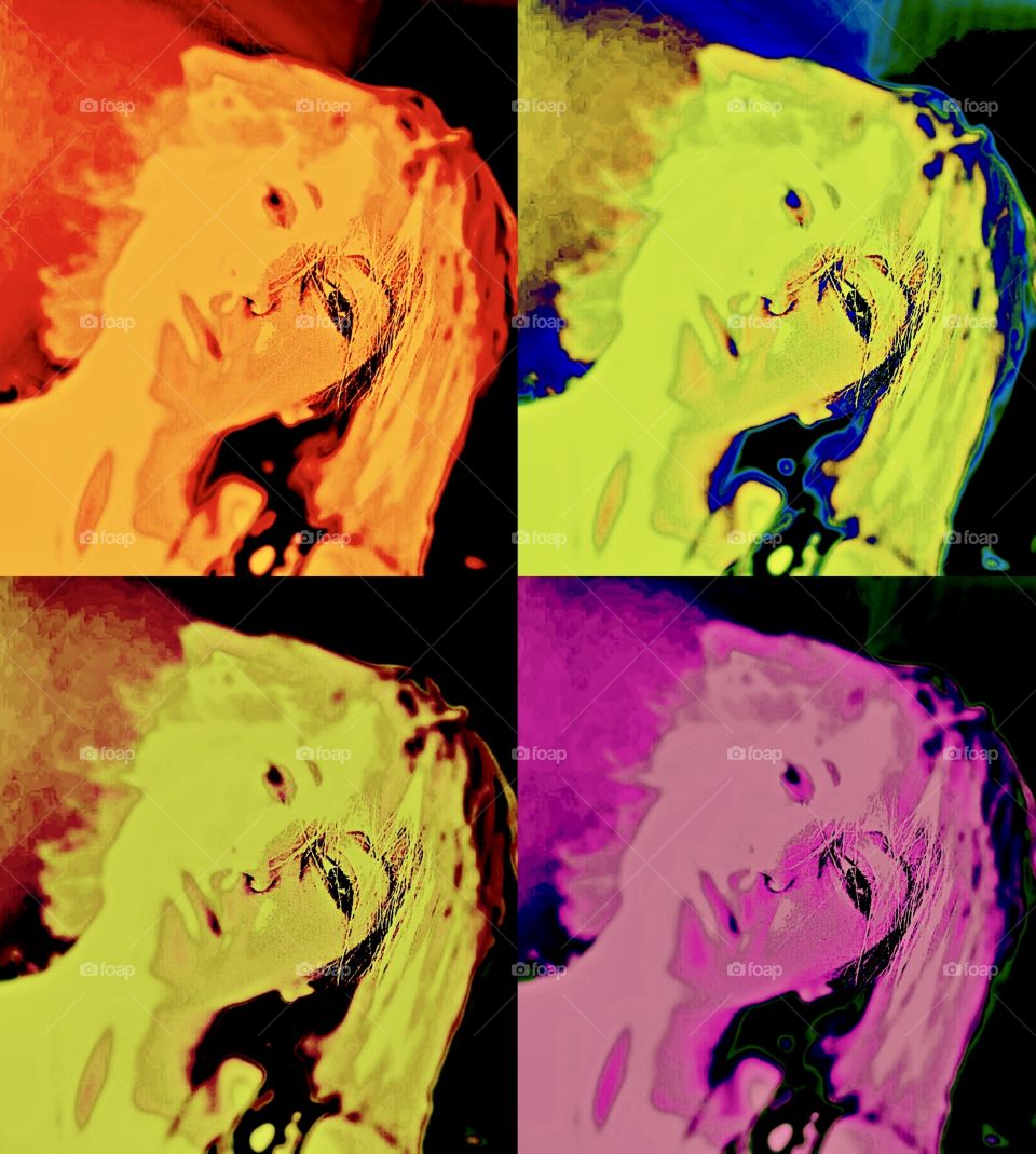 Respecting Andy Warhol ! She’s no Monroe but could have been!