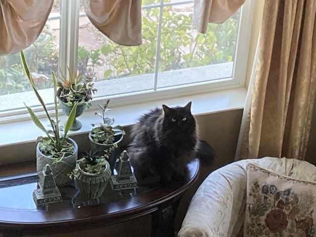Table decor 