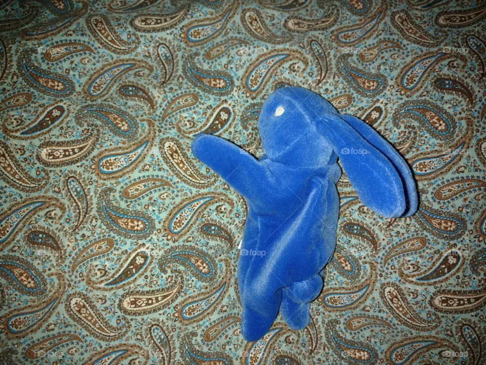 blue bunny