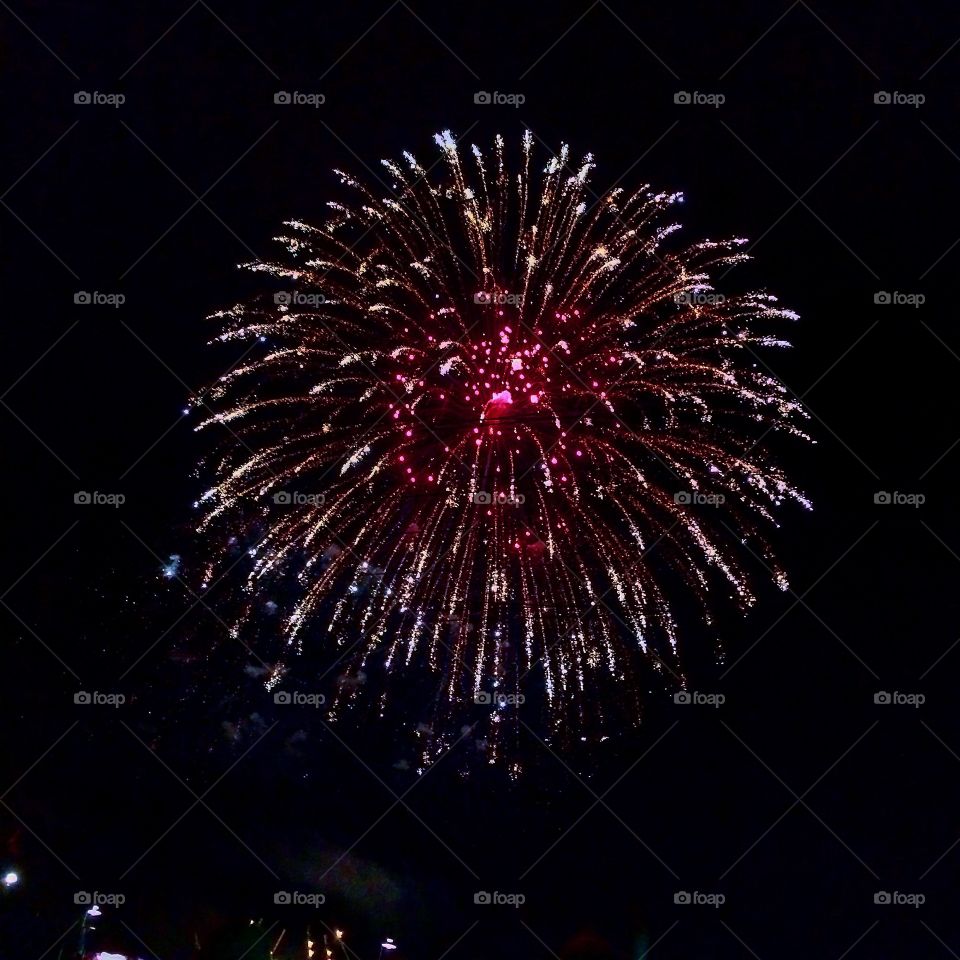 Fireworks . Beautiful shot of a firework 