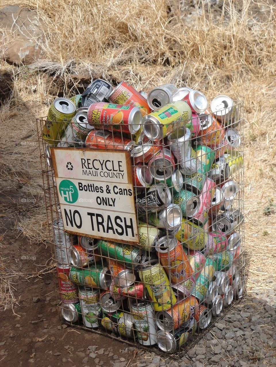 recycle your tins