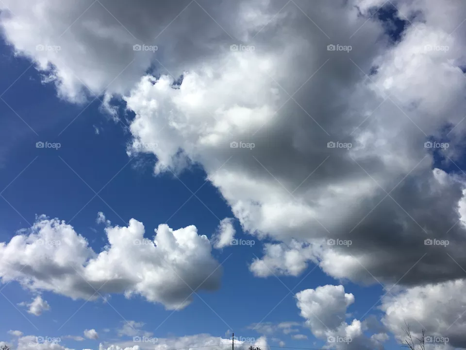 Spring Sky