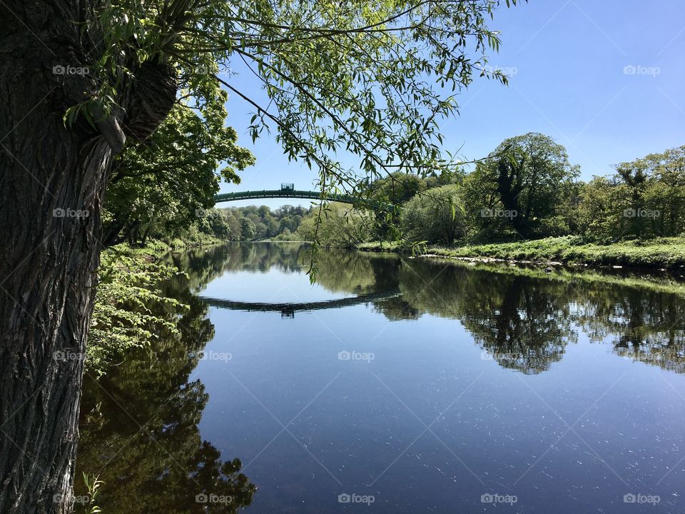 Beautiful May Day 2020 .. with a bright blue sky and warm weather ... snap taking whilst walking along a local riverbank during Lockdown Covid-19 restrictions 