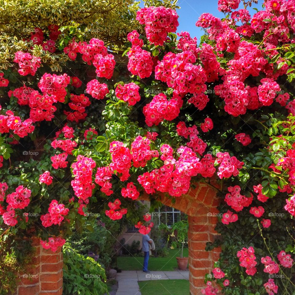 	Formal gardens of Packwood House stately home - Warwickshire, England UK.