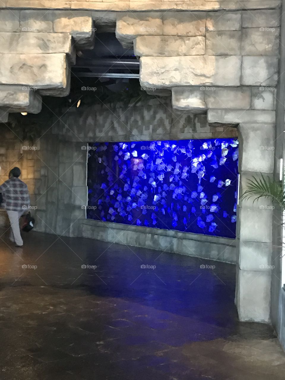 The aquarium in DC