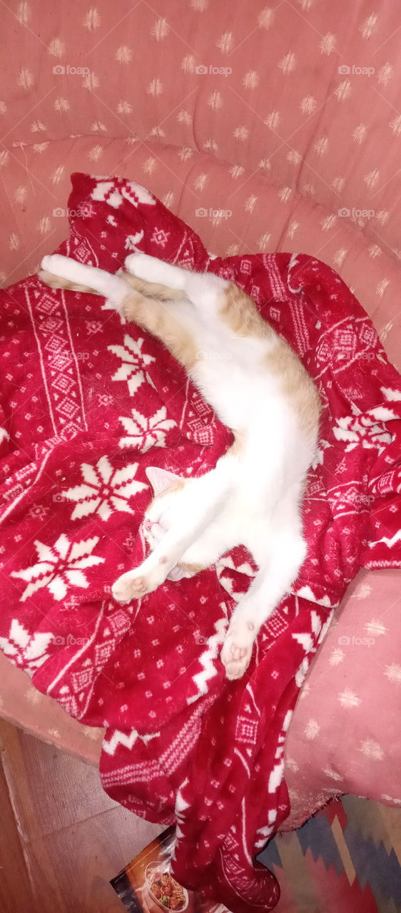 However is comfortable is my sleeping position