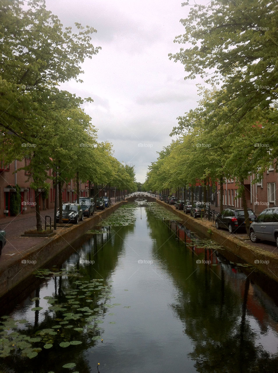 Water, No Person, Canal, Tree, Nature