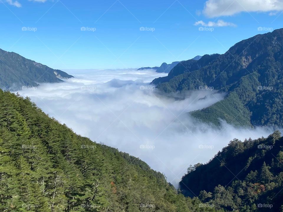 Beautiful sea of clouds on the top of the mountain: sightseeing sports in Taiwan