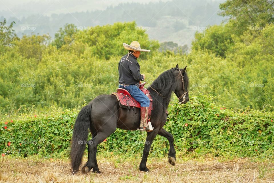 Cowboy Riding A Black Horse