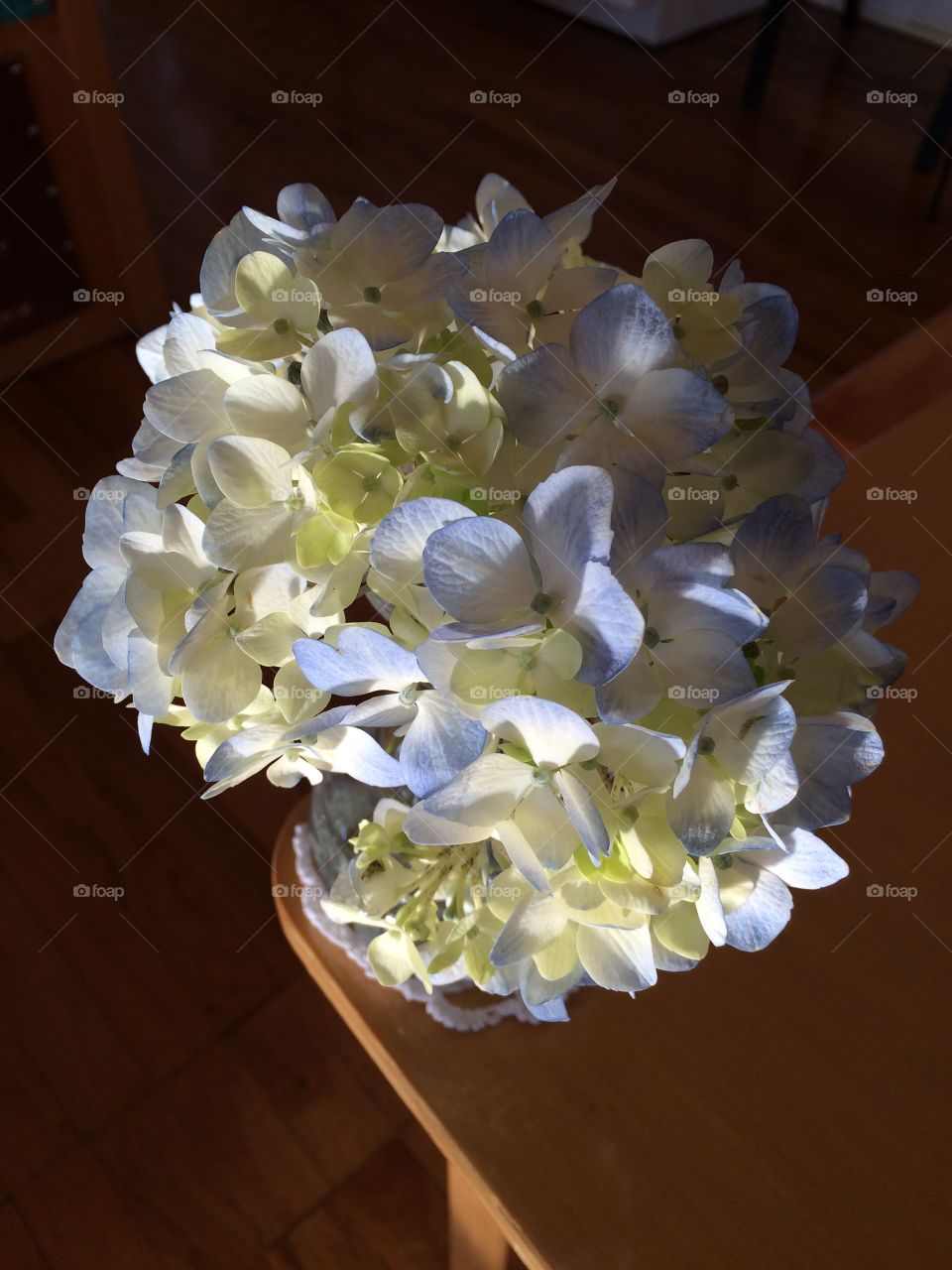 Hydrangeas in a vase