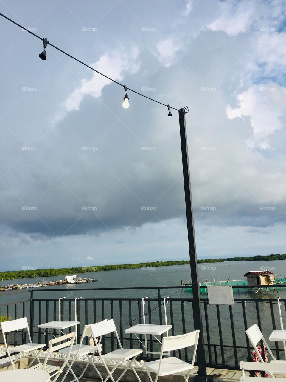 Part of 10,000 Roses in Cordova Cebu City