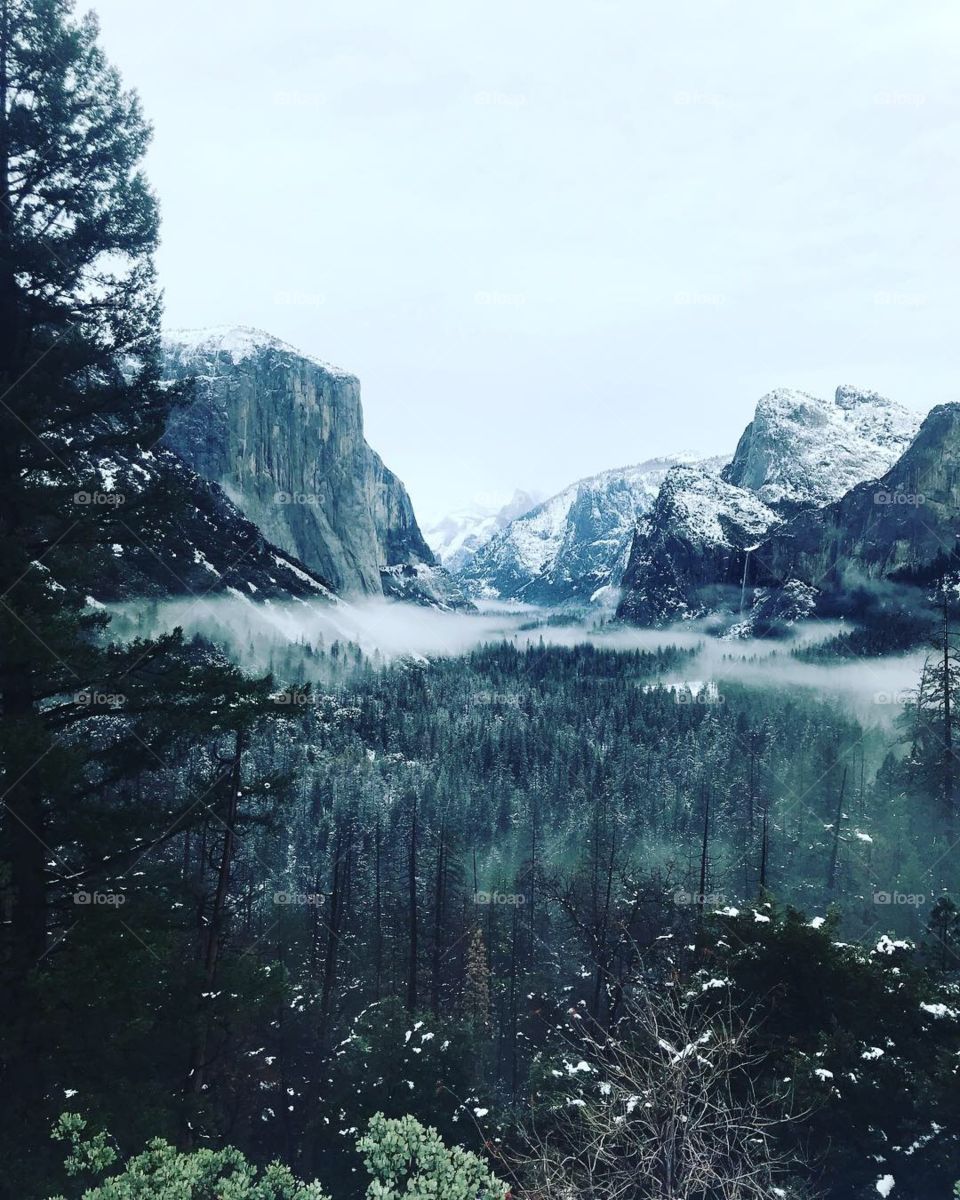 Misty Yosemite 