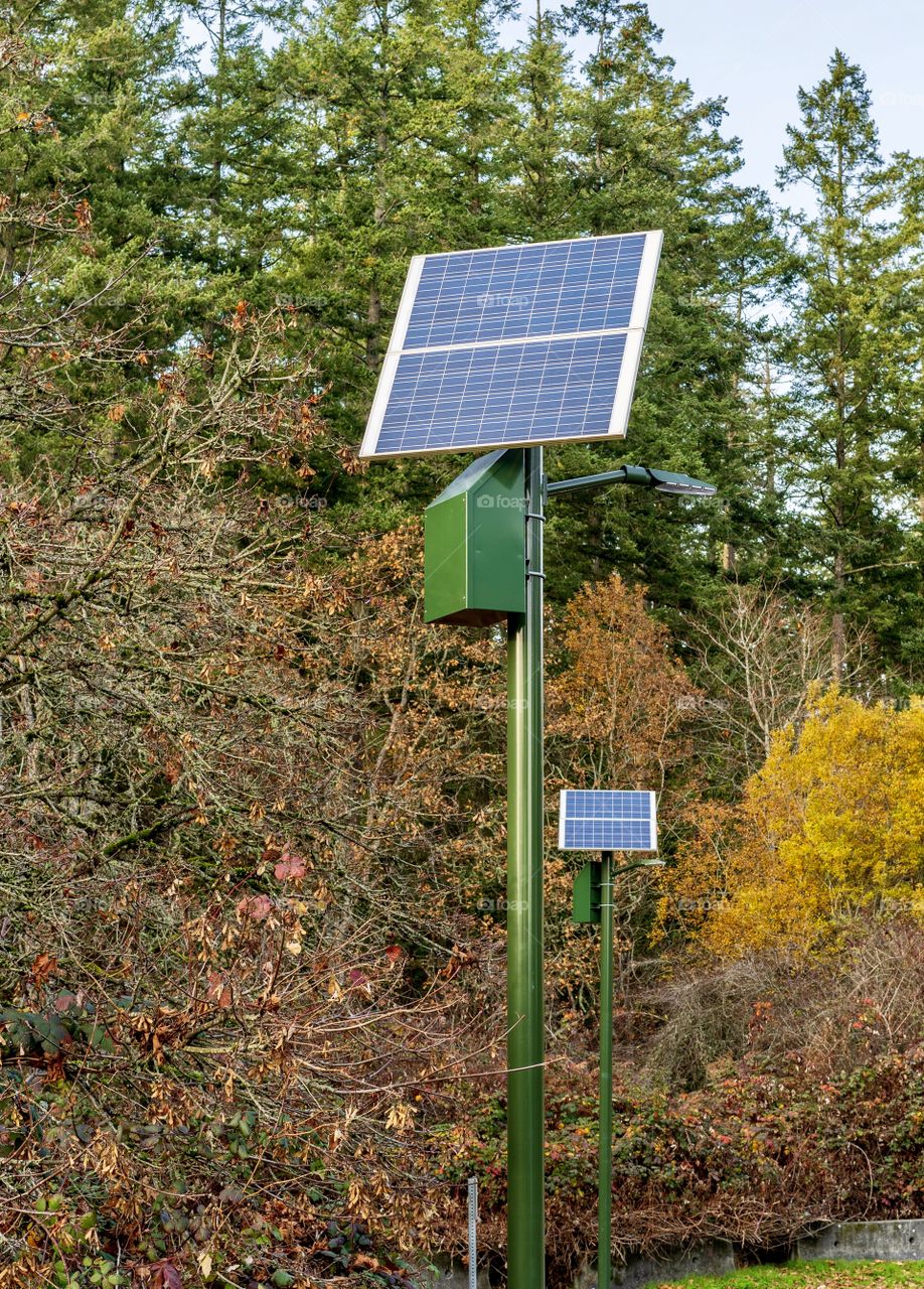 Solar panels power lights in a neighbourhood park area