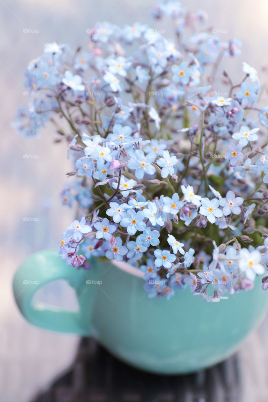 Forget me not in the cup 