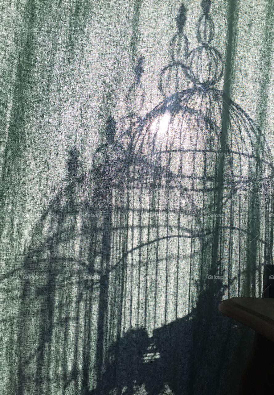 Shadow bird cage