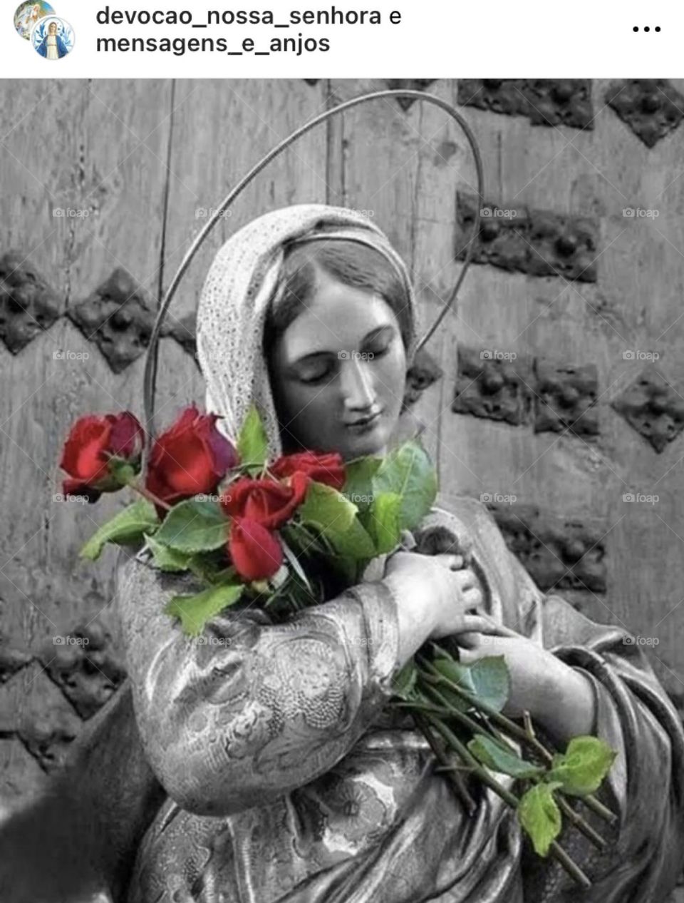 🙏 🇪🇸 Oh Maria, ruega por nosotros que recurrimos a ti.  Amén.  🇧🇷 Ó Maria, Nossa Senhora, rogai por nós que recorremos a vós. Amém. / 🇺🇸 O Mary, pray for us that we turn to you.  Amen. / 🇮🇹 O Madonna, prega per noi che ci rivolgiamo a te. Amen. 