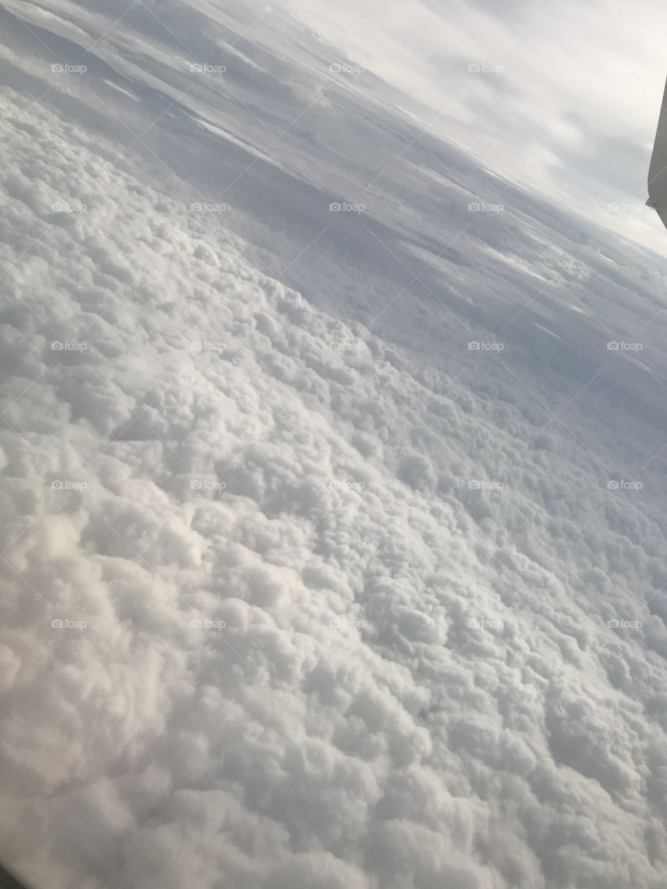 Looks like a soft landing 