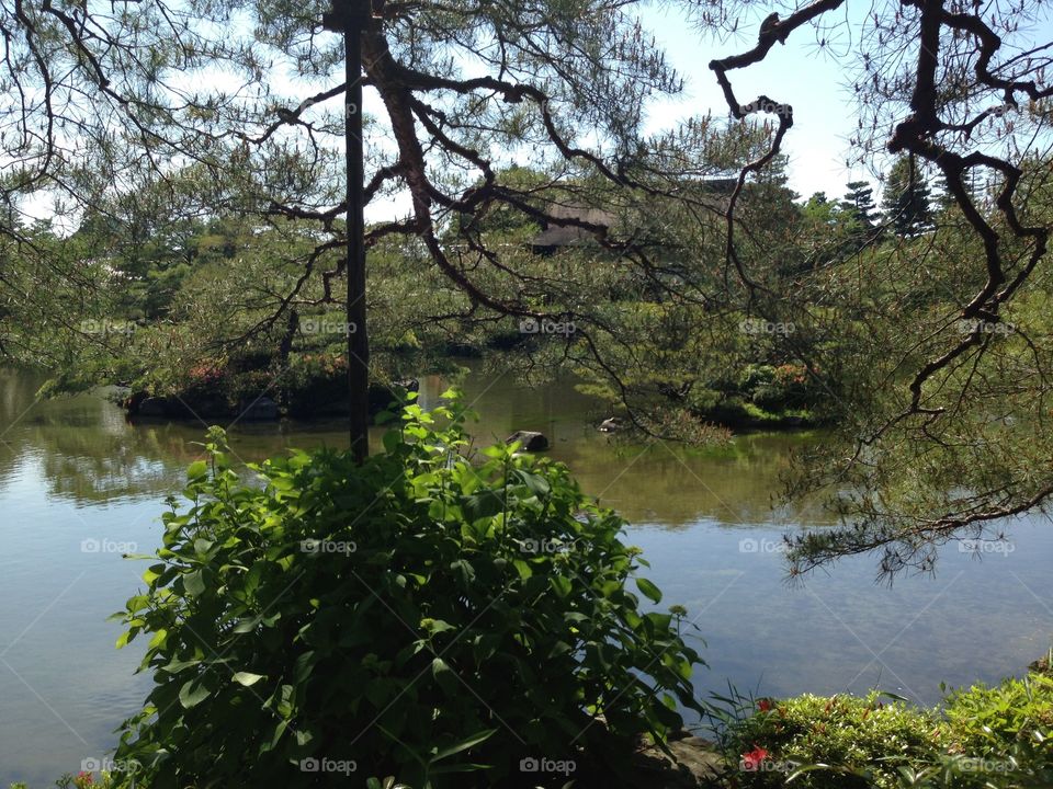 Kyoto pond 