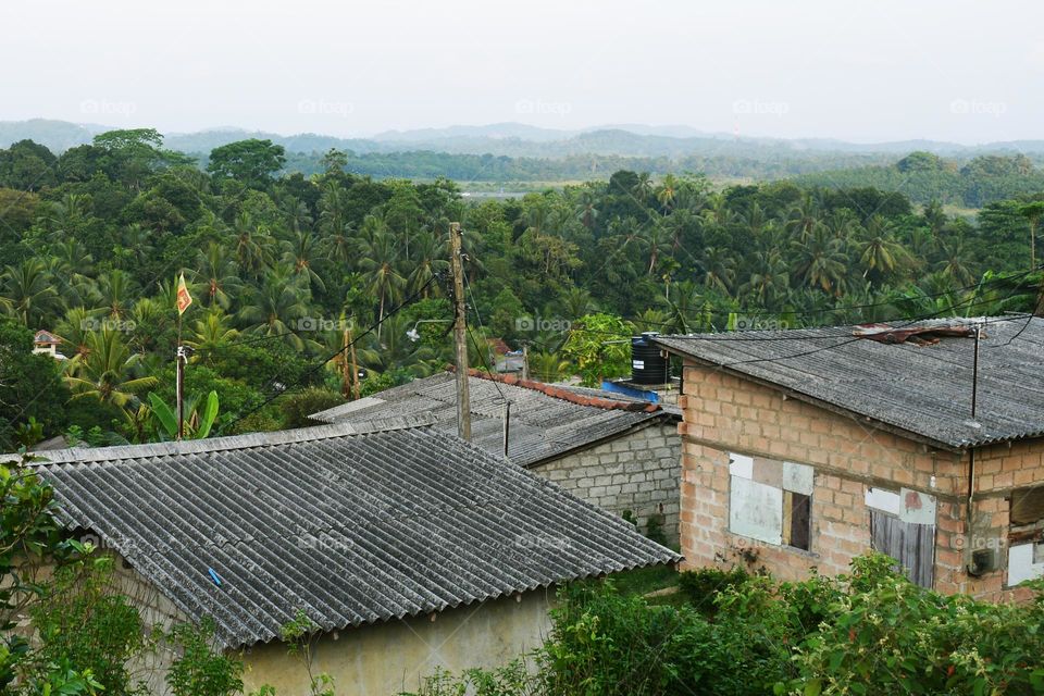 view of landscape atulugama coconut garden
