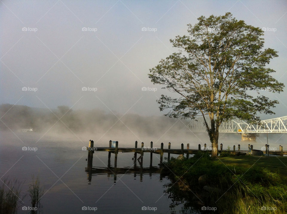 Scenic view of lake during foggy morning