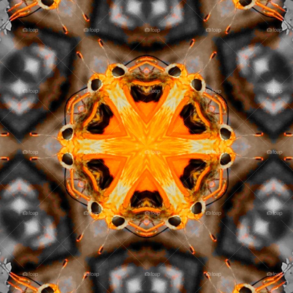 orange moth kaleidoscope