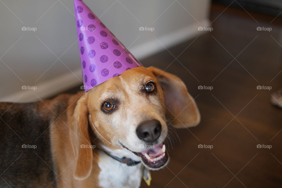 All dressed up to party