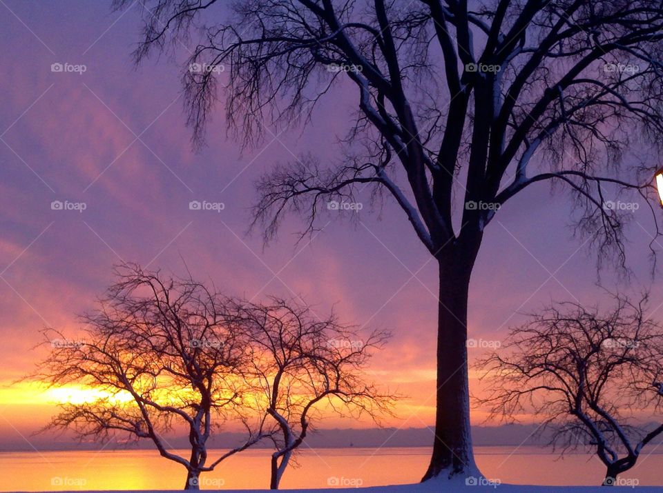 Sunrise trees water purple yellow orange Dawn dusk