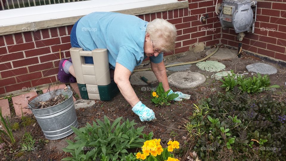 gardening. pulling weeds around yellow flowers