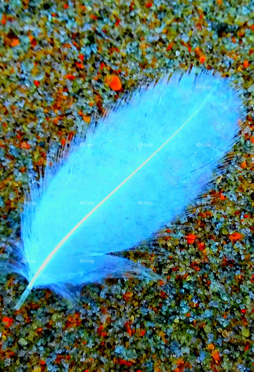 sand feather