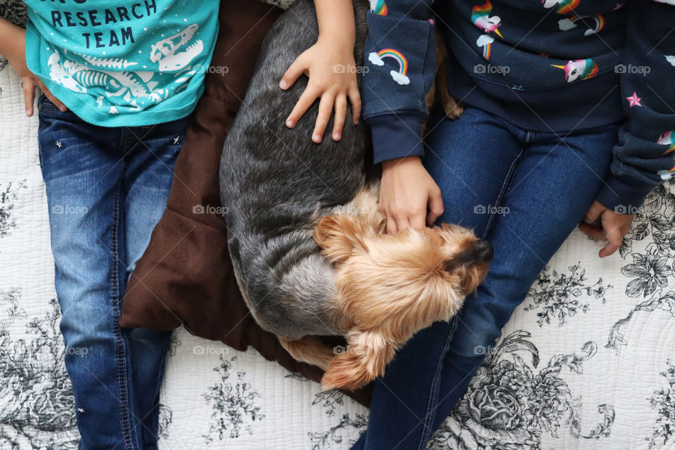 Dog with his human best friends