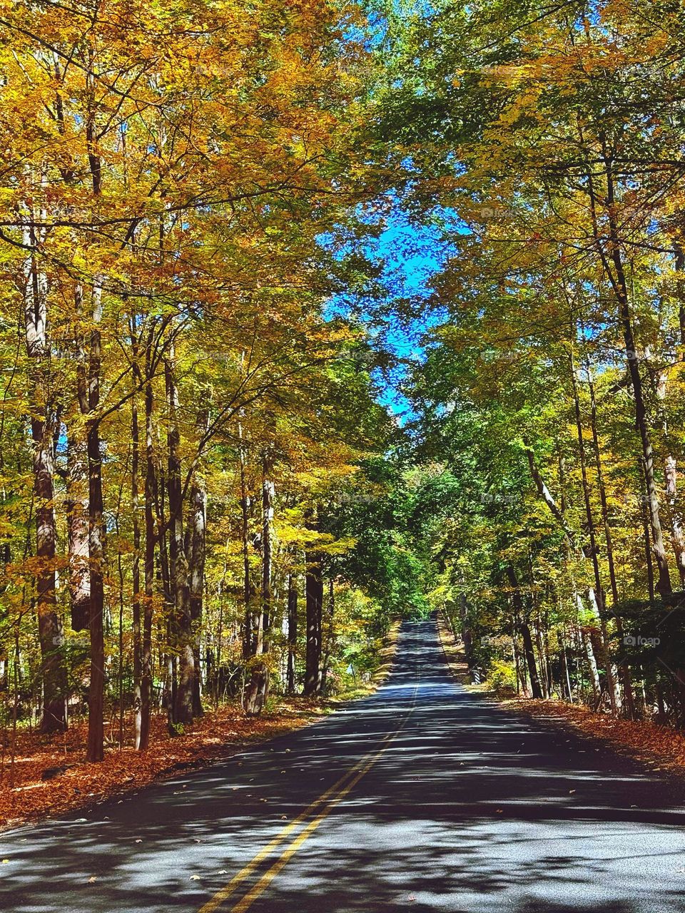 Autumnal colours on a Connecticut road 