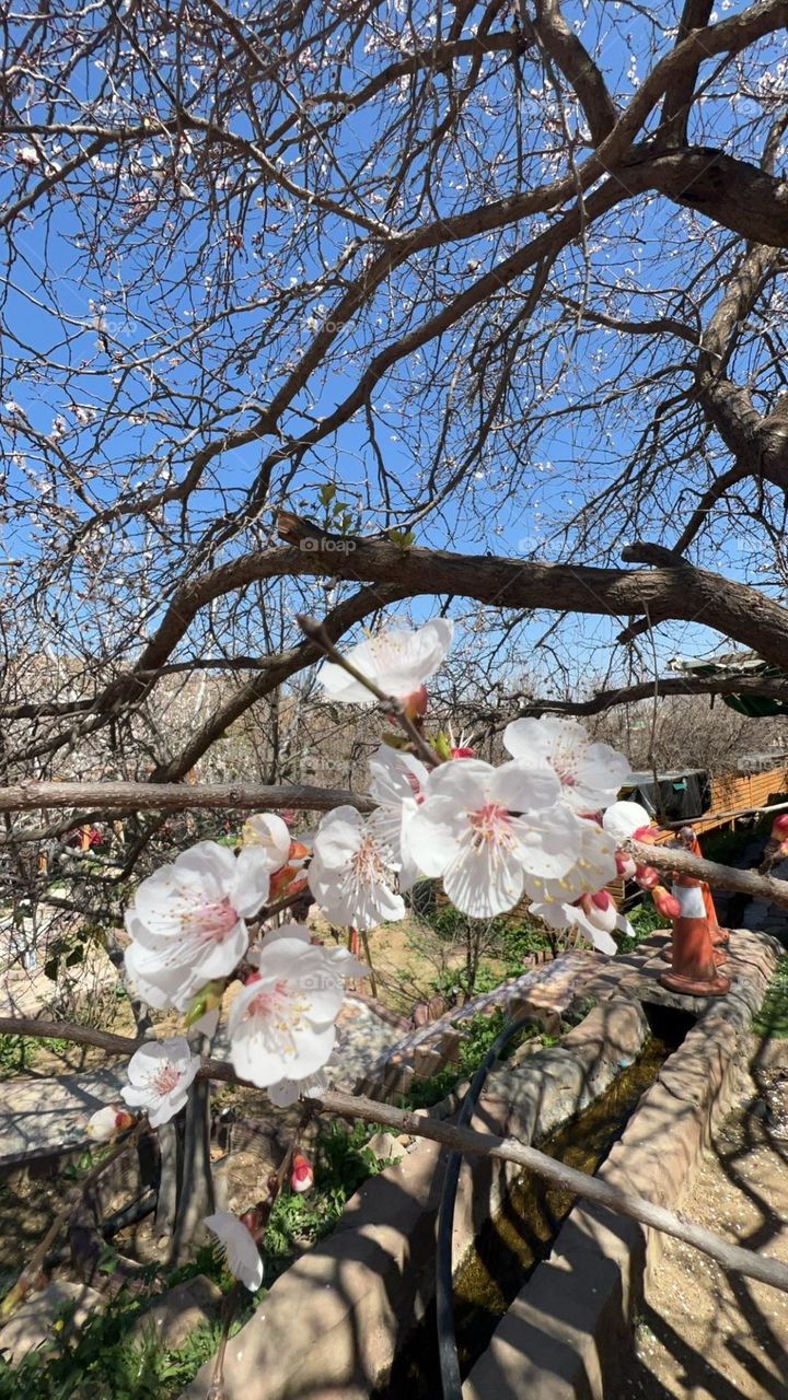 nice pitcher 🌹💐🏵️