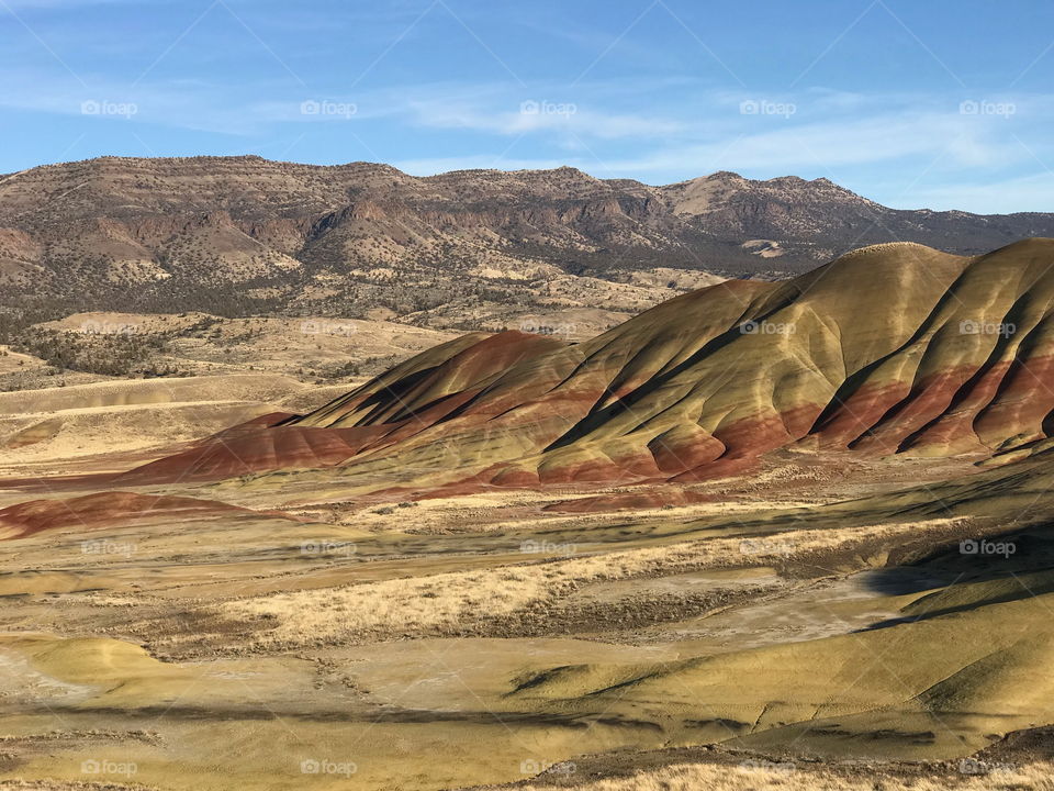 The incredible beauty of the red, gold, and browns of the textured Painted Hills in Eastern Oregon on a bright sunny day.